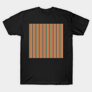 Serape Stripe T-Shirt